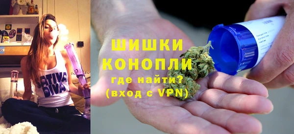 индика Майский