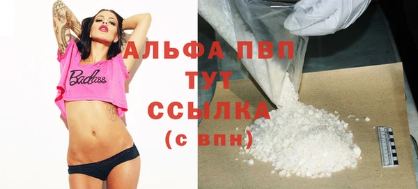 индика Майский