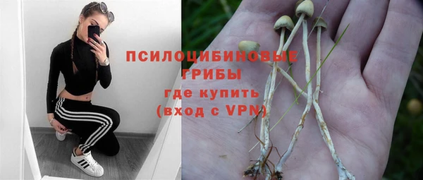 индика Майский