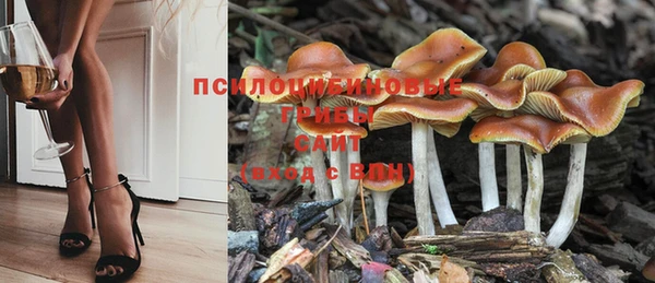 индика Майский